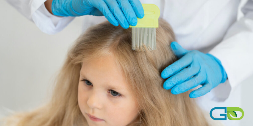 پیشگیری از شپش در مدرسه و خانه